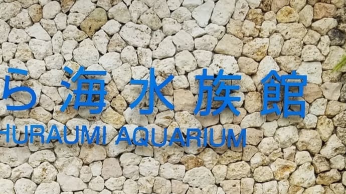沖縄旅行記(3) 沖縄美ら海水族館 ~ い~やさぁ~さぁ♪てぃ~り、した~り♪ ~