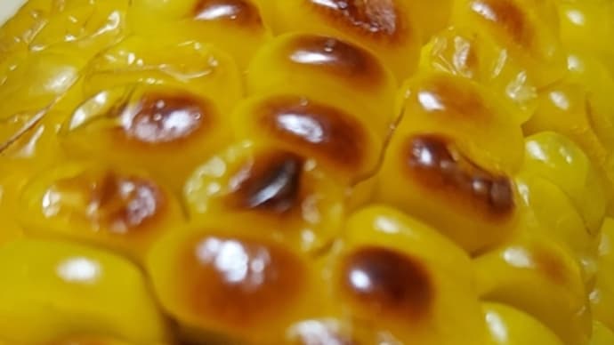 おやつ感覚の食事は