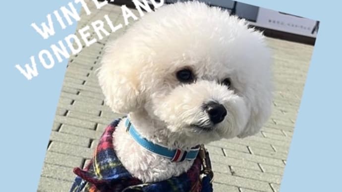 オーダーのお客様から素敵なお写真ご紹介 NO.2