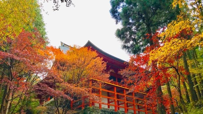 千年の時が経ても変わらぬ風景。[比叡山延暦寺Ⅴ]