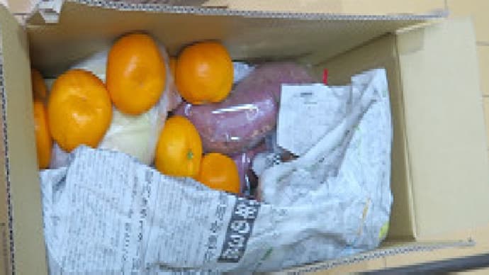 愛媛からの美味しいプレゼント(42)<野菜・みかん・干し柿>
