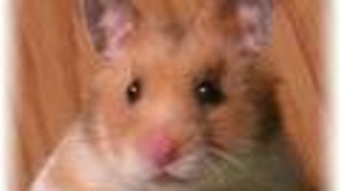 わたし、ハタチになりました