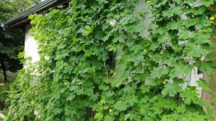 私の敵は私です