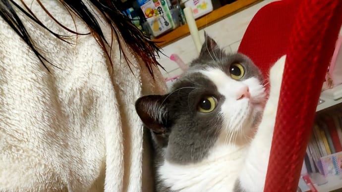 中途退職と定年退職