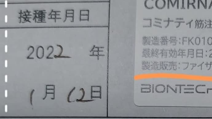 3回目ワクチン副反応の報告と去年(2021年10月末の旅のスタイル)
