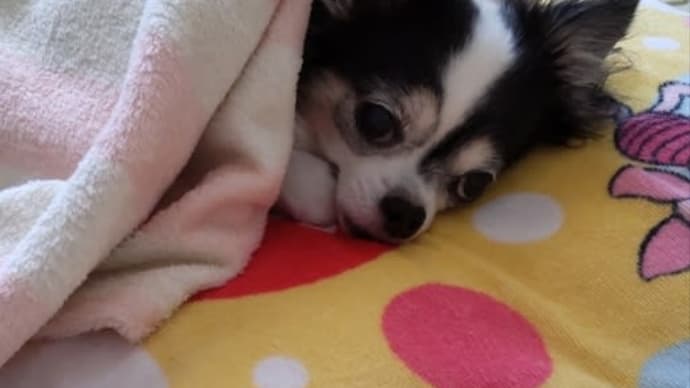 寒いですね!