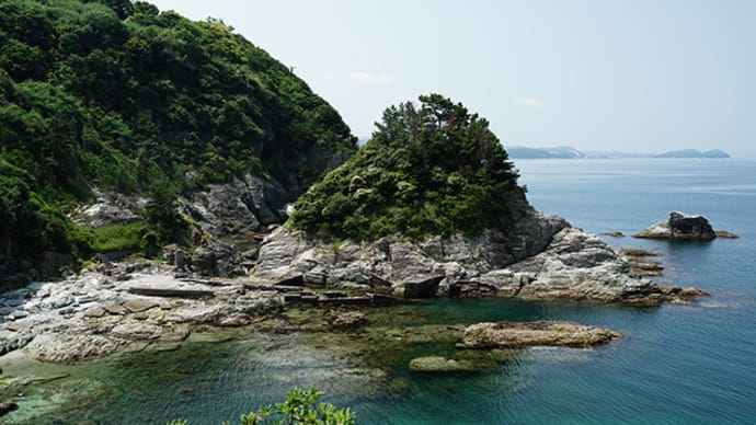 真夏日? 6月4日(木)晴れ