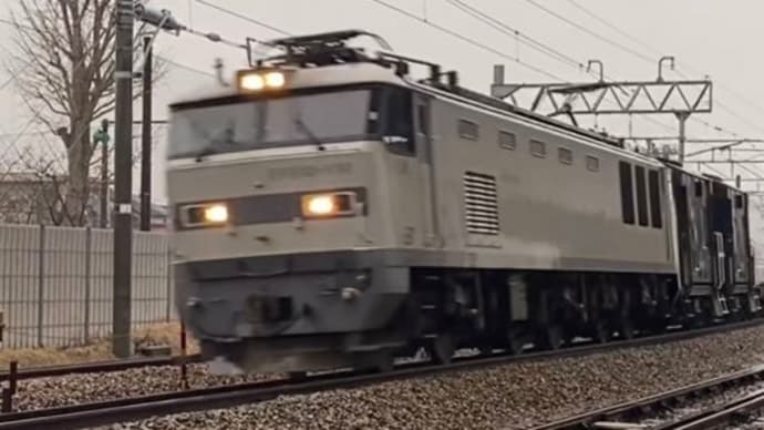 今日の投稿動画