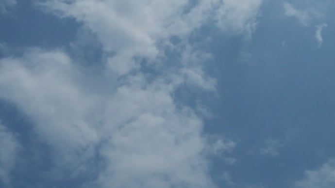 今週も始まりました