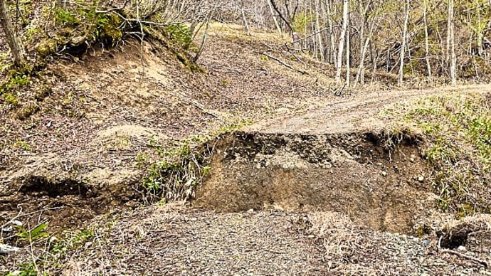 昨年春の雪解け水で一部が決壊した釧路市阿寒町の林道は、修復されずに放置されていました