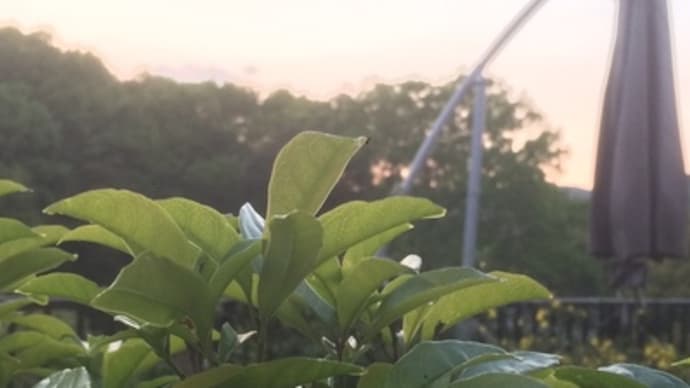 我慢の日々。