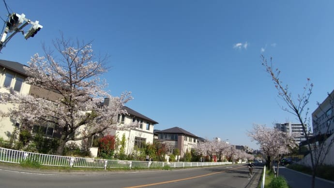 休日の過ごし方 2日目
