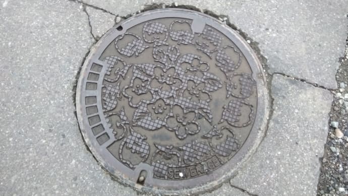 長野市 かわいい格子柄のマンホールをぱちり📷️