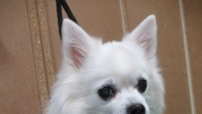 今夜、大地とトントンが久々の再会しますよ~!!