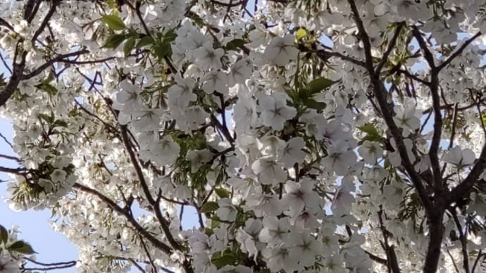 4月2日