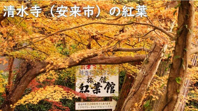 清水寺(安来市)の紅葉 前編