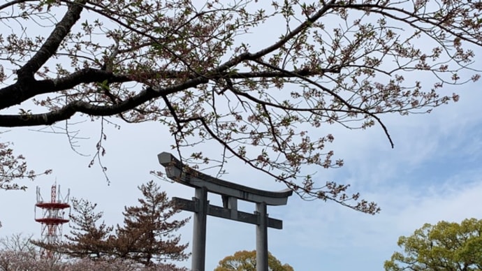 孫1号とデートの一日