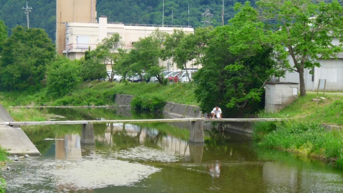 奥武蔵の山を行く・・東秩父村の・・流れ橋