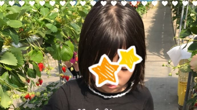 いちご狩り