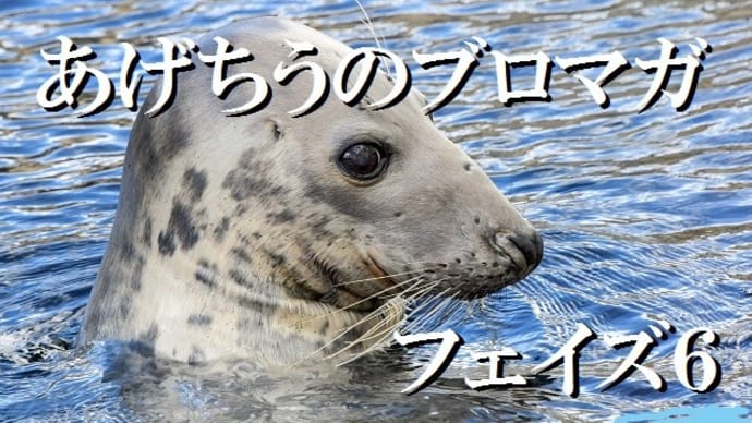 犠牲のある楽園と制約ある平等