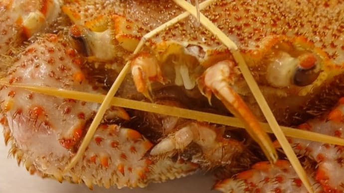 お盆は贅沢に北海道の「毛蟹」!数量限定「冷凍毛蟹」(税込3,000円)ご予約受付中!!刺身と手作り干物の専門店「発寒かねしげ鮮魚店」。