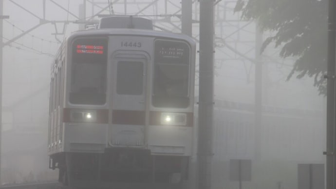 濃霧の朝