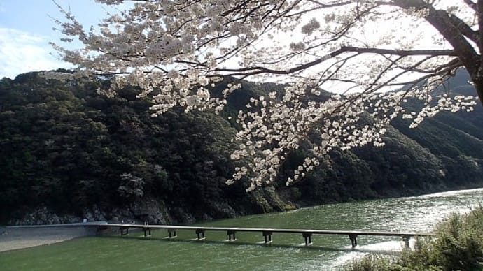 星降る川から(気まぐれダイアリー)3月2日