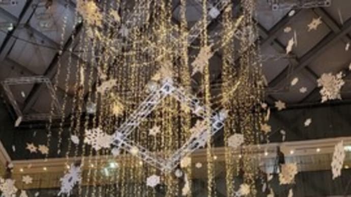 クリスマスツリー🎄