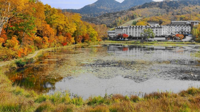 信州の深い秋に⑥　志賀高原　蓮池、その周辺