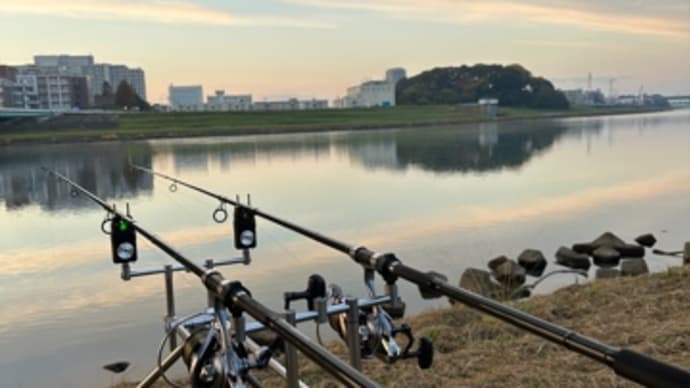 12月5日の鯉釣り