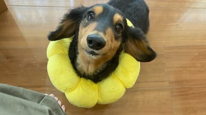 エスティマの乗り心地最高!