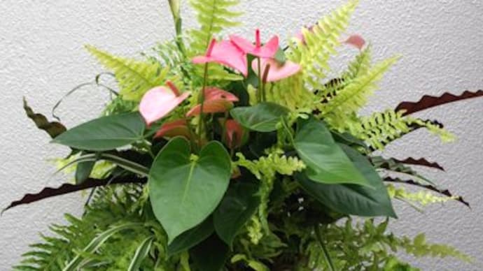 お祝いのお花