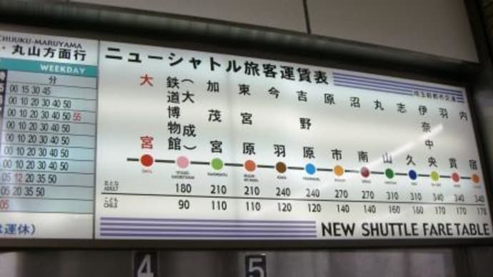 ニューシャトル 丸山駅