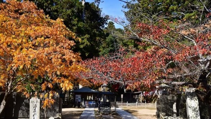 法華山 一乗寺 紅葉’18