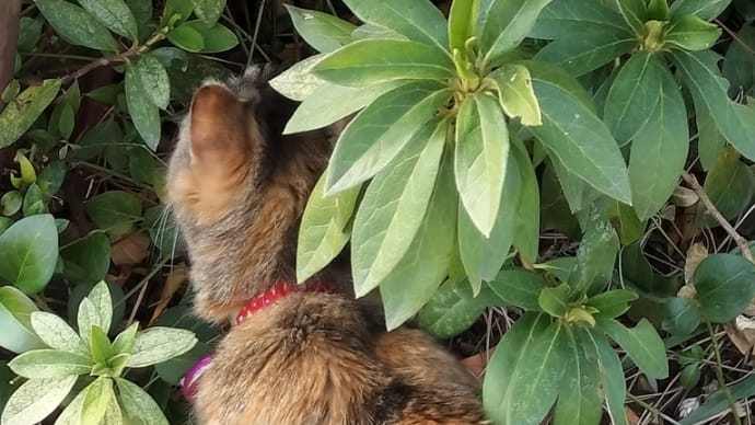 2023/3/6のタマ❣️