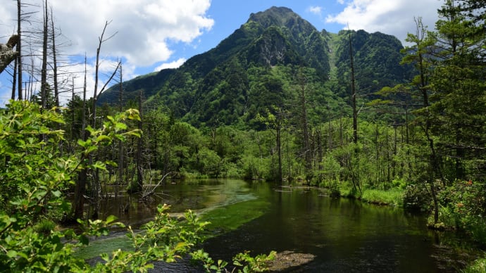 爽やか信州 in 上高地　～8.岳沢湿原へ～