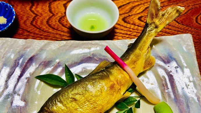熊本人吉山江温泉への旅〜山江温泉ほたるの夕食〜