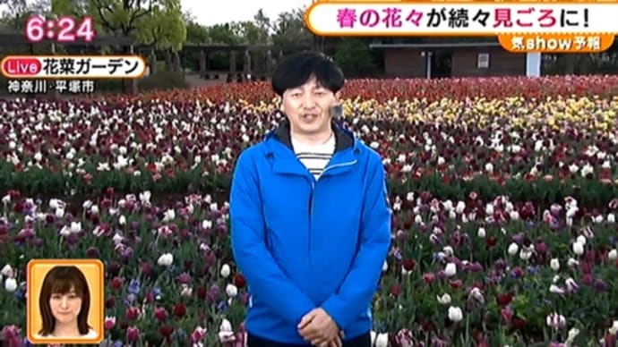 花菜ガーデン