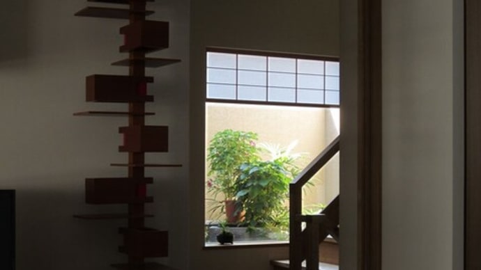 夏の光