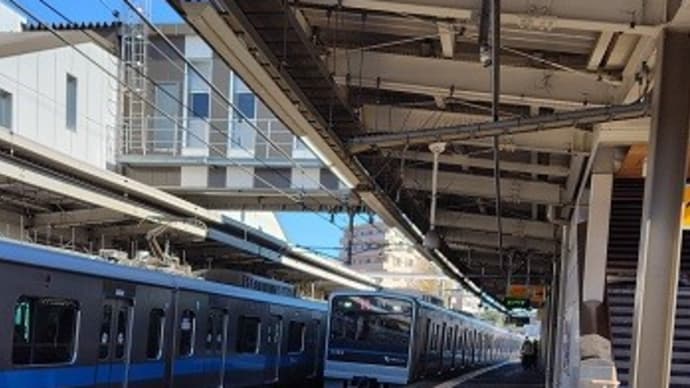 秦野市 弘法山トレッキング