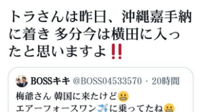 トランプ大統領、日本に!?5月20日沖縄嘉手納に着き…多分今は横田に入ったと思いますお【E-4Bエアーフォースワン】に機上!?同機は万一の際には同機から核攻撃命令を下すいわば【空中作戦センター】