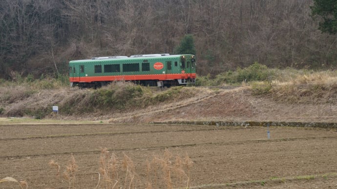 1081-真岡鐵道天矢場駅付近