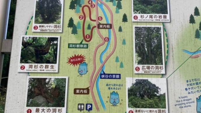 魚津の洞杉群へ