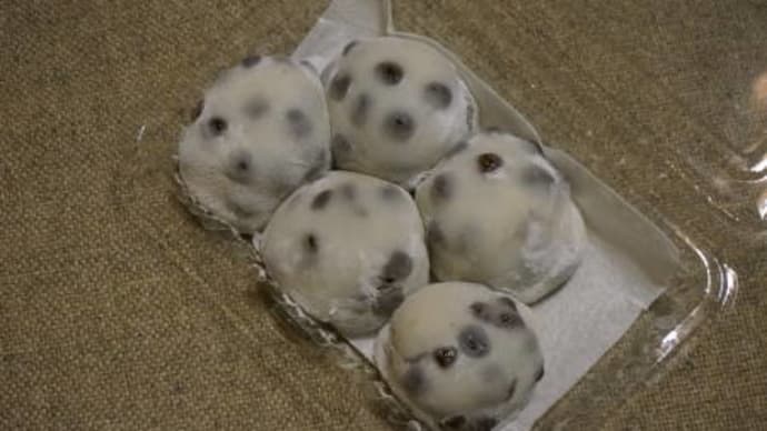 初めて行列に参加して~出町ふたば