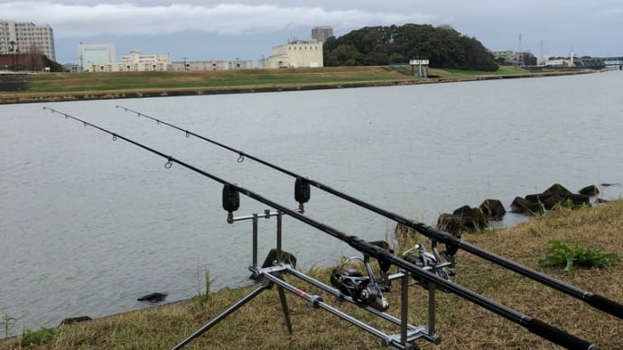 1月26日の鯉釣り「ボウズ回避」