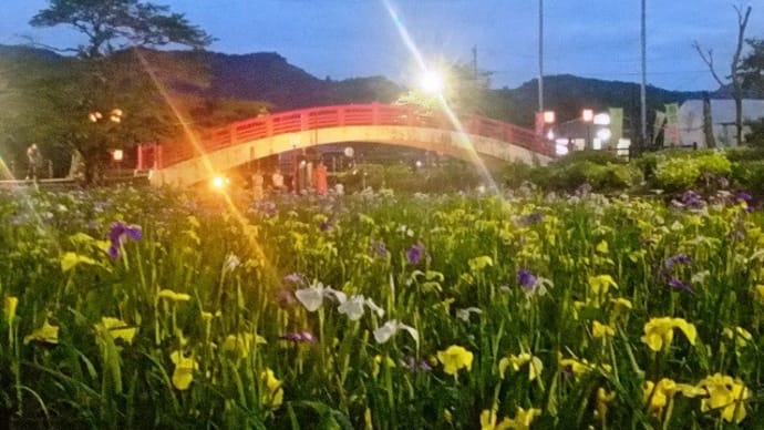 「花しょうぶまつり」(豊橋市・賀茂しょうぶ園)に行ってきました