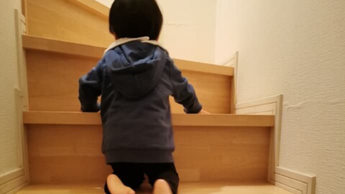 『元気になって、階段登りのみらんちゃん···』