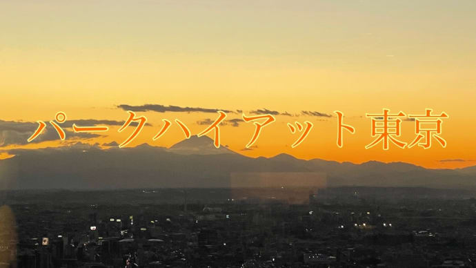 東京(パークハイアット)宿泊