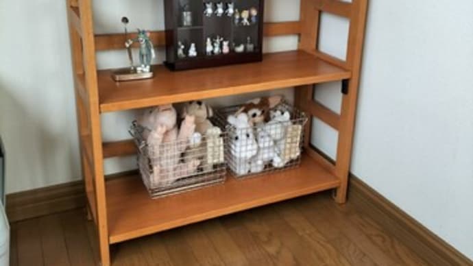 掃除に行ったが掃除せず
