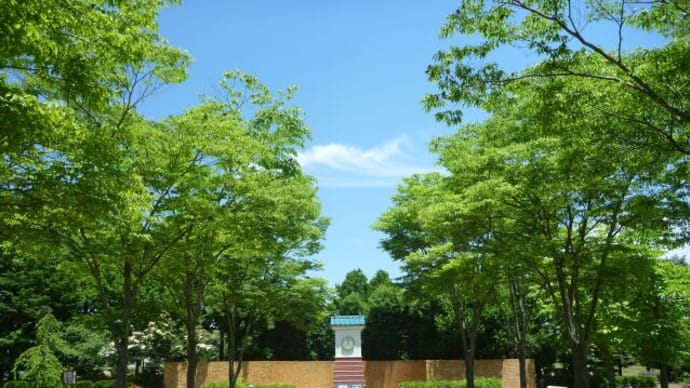 “童里夢(ドリーム)公園”まで行っちゃおうかな・・・